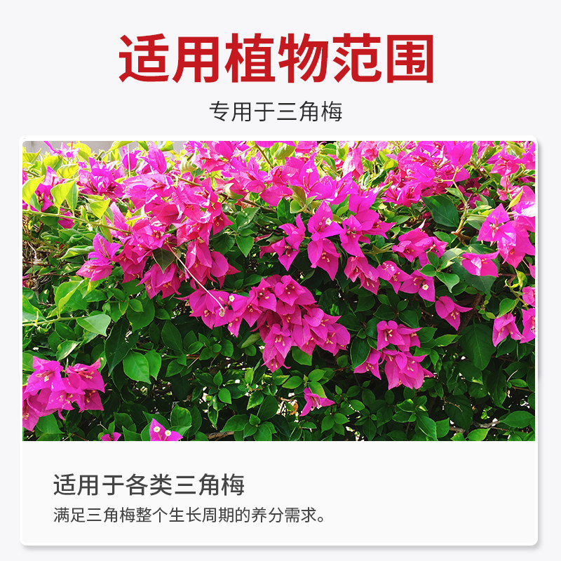 施可丰三角梅专用肥料缓释复合肥花肥料营养液有机肥催花促花肥料