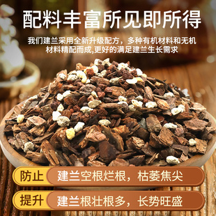 建兰专用土剑兰专用营养土专用肥料养兰花盆栽种植专用植料松树皮