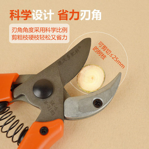 德沃多园艺工具剪刀果树树枝修枝采果剪子月季滑轮省力剪家用通用