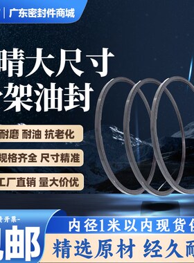 大型TC丁睛骨架油封720/730/740/750/760*780/790/800/810*25*20