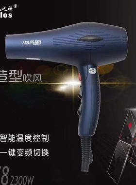 风神吹风机加速大功率吹风筒家用发廊专用韩风电吹风冷热风2300W