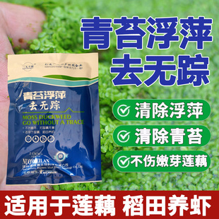 浮萍净青苔清除剂水产养殖去藻浮萍青苔不伤虾蟹莲藕浮萍青苔克星
