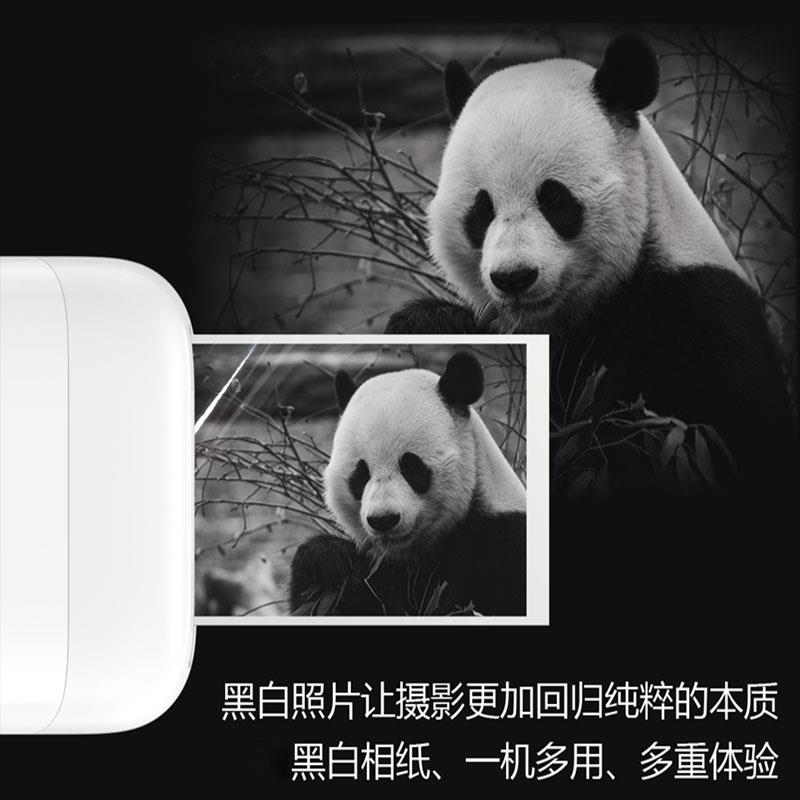 极印立可印N1口袋照片相片打印机专用相纸打印纸照片纸耗材相片纸