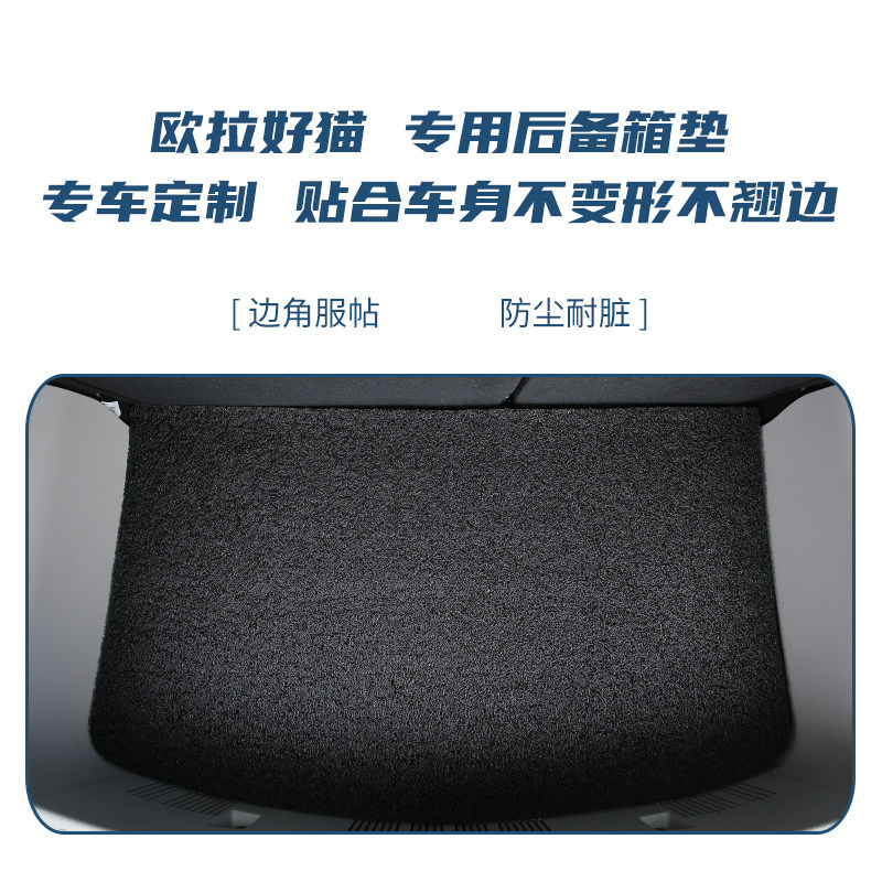 欧拉好猫专用脚垫丝圈车内装饰地垫防脏垫后备箱垫汽车好猫GT脚垫