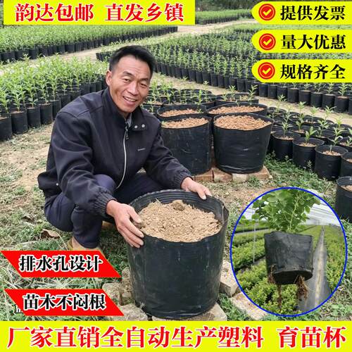 加厚营养钵树苗营养杯育苗杯加托一次性花盆黑色软塑胶育苗盆加塞