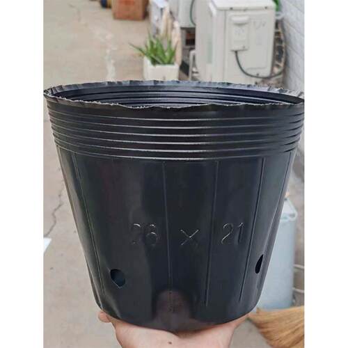 加厚营养碗苗杯苗袋一次性塑料厂家直销蔬菜杯黑色营养杯苗锅
