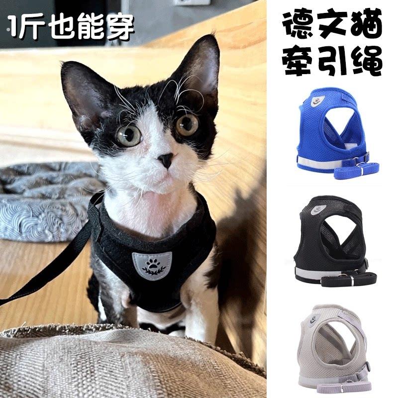 小猫牵引绳德文猫专用帅气幼猫外出防挣脱溜猫绳子咪背心式胸背带