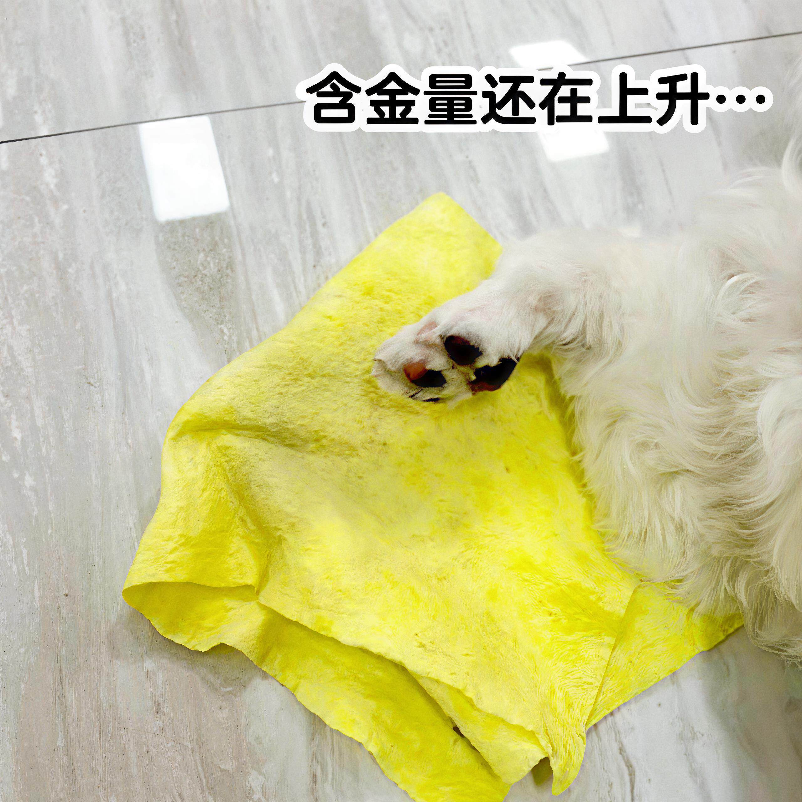 狗狗擦脚布清洁毛巾不掉毛去污渍宠物毛巾吸水速干小狗猫咪擦脚布
