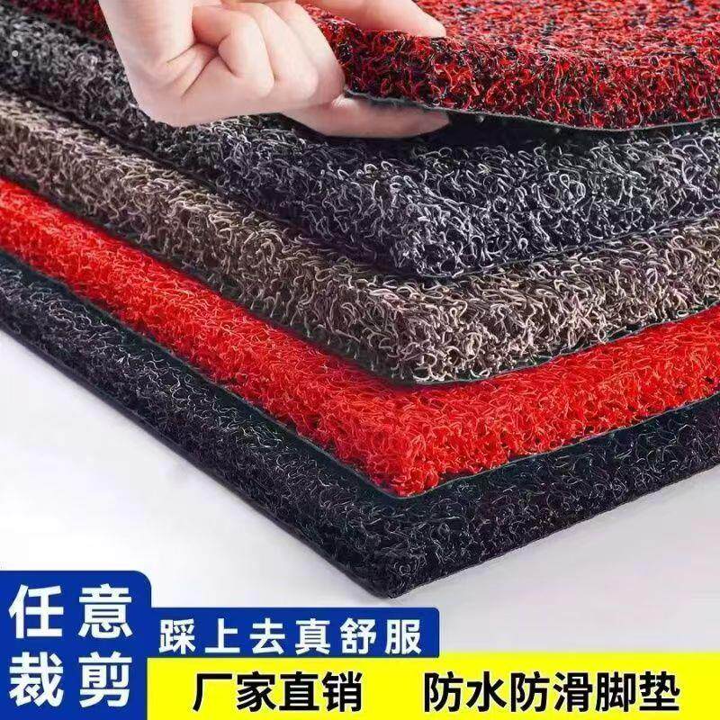 进门地垫入户门大门门口丝圈加厚脚垫汽车脚垫自由裁剪地毯家用