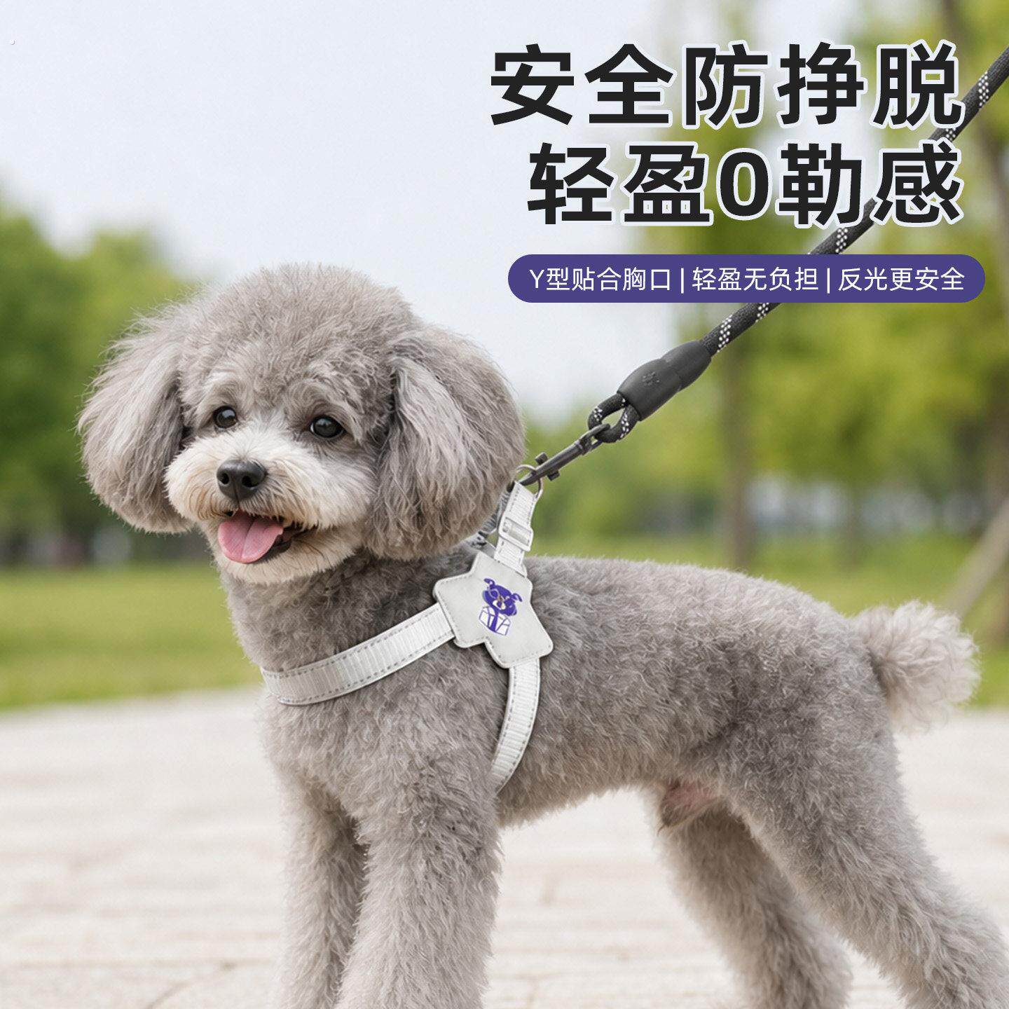 小狗绳子牵引绳小型狗狗专用狗训狗绳中型犬牵狗小型犬狗绳幼犬小