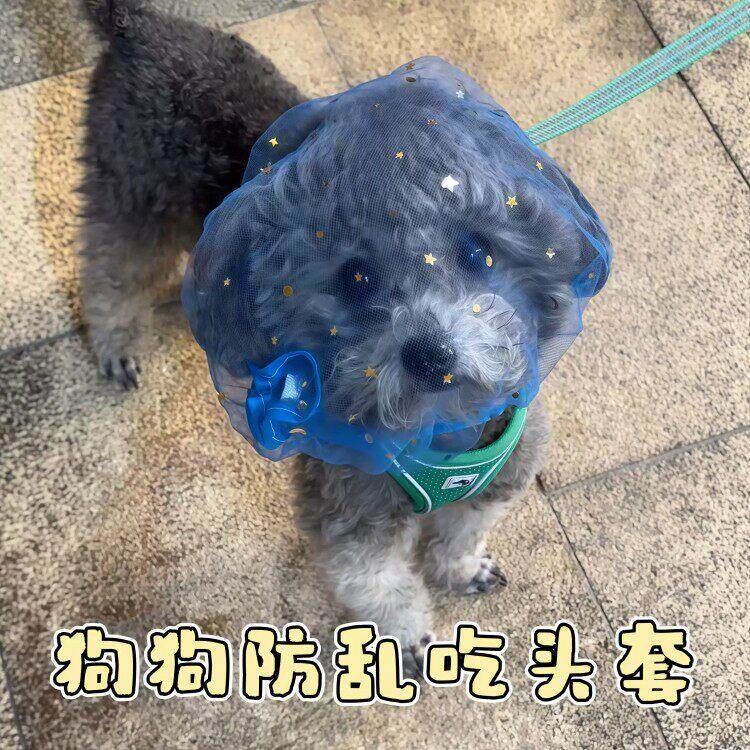狗狗防乱吃头套防舔防误食头纱嘴套遛狗神器中小型犬透气面罩网套