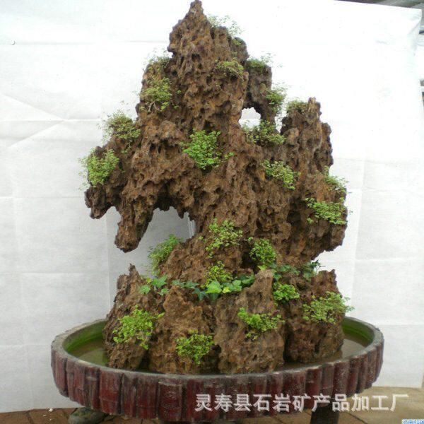 上水石吸水石盆景石麦管石规格齐全盆景小摆件假山石脉管石