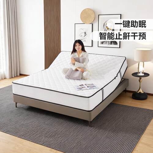 施洛尼电动智能床垫家用升降按摩床垫多功能电动床垫主卧智能床