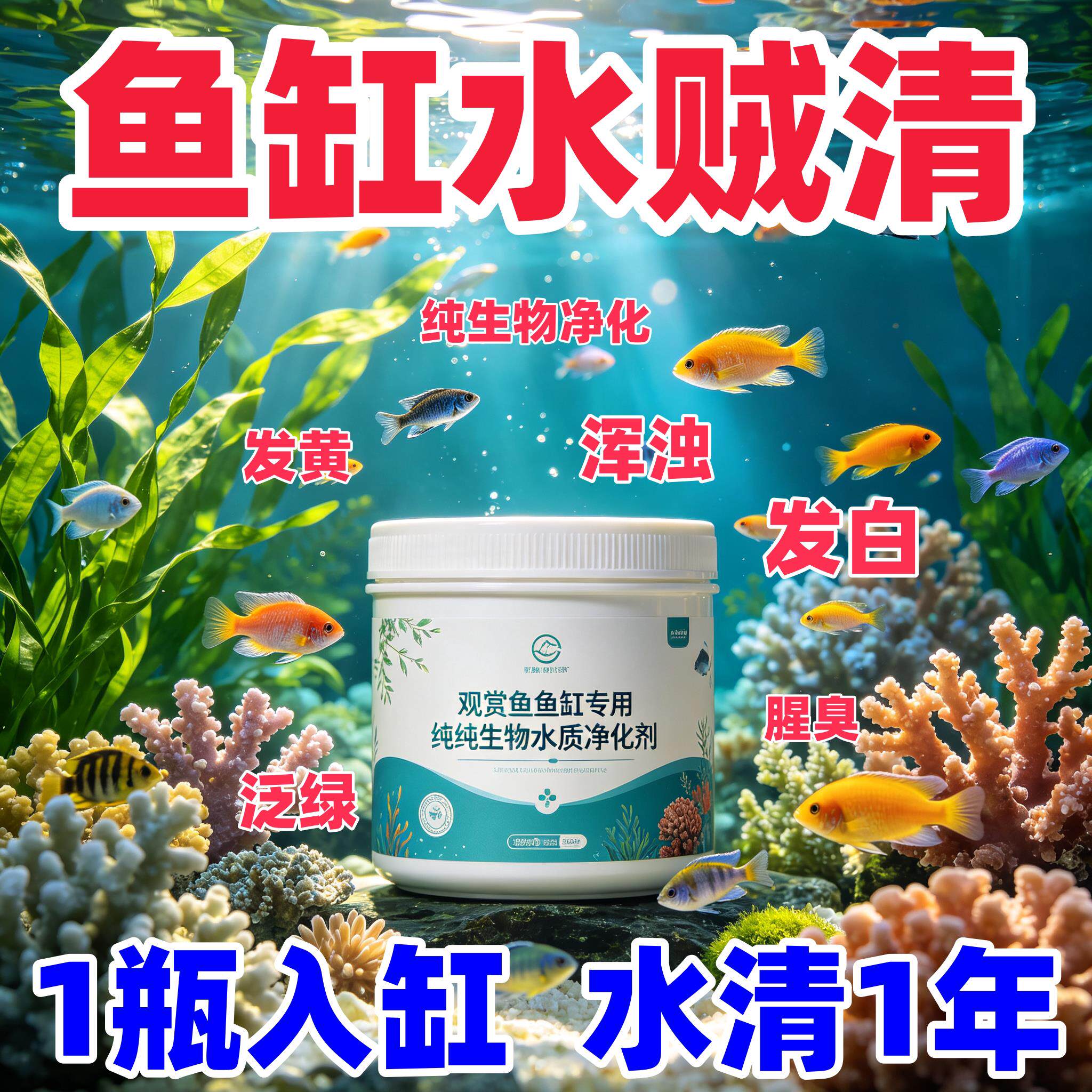 鱼缸除腥臭养鱼纯生物水质净化稳定剂分解鱼粪清理去黄水绿水细菌