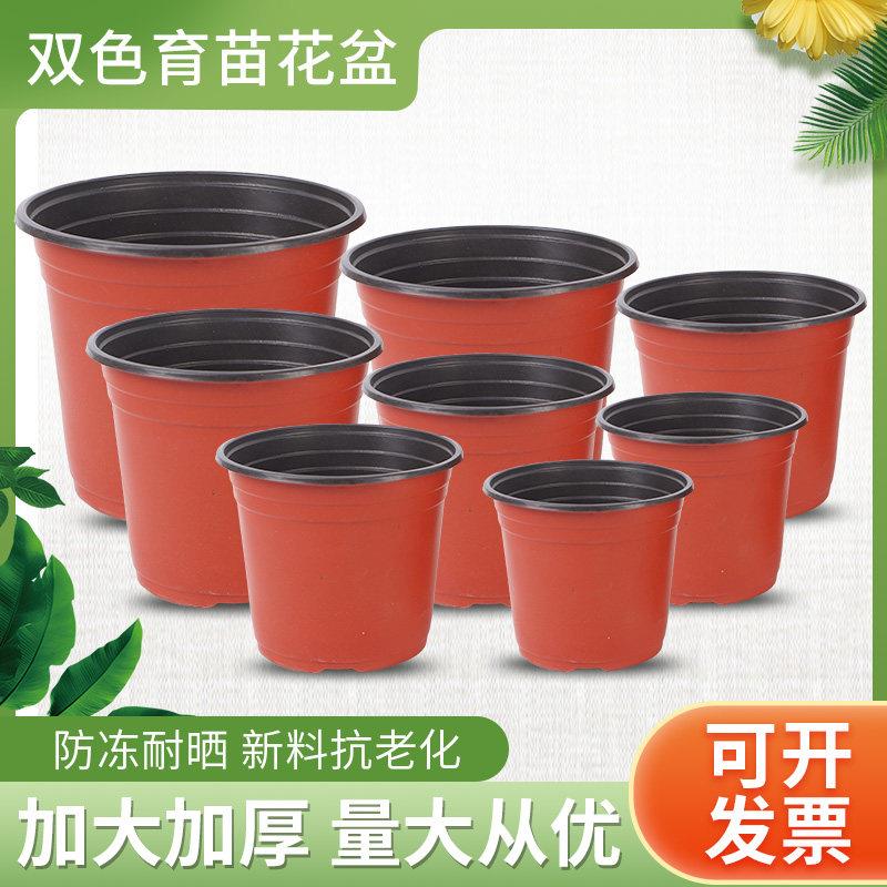 双色盆简易加厚一次性塑料花盆育苗盆大号营养钵培育盆多肉种植盆
