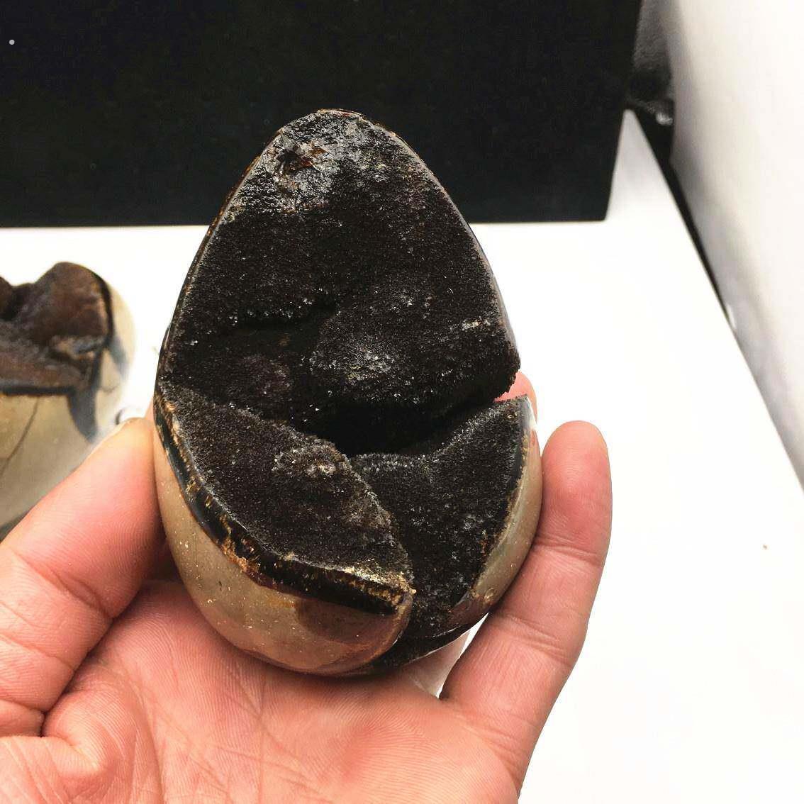 天然龟背石鸡蛋摆件 龟纹石原石原矿 乌龟洞鸡蛋物件实物 开口笑