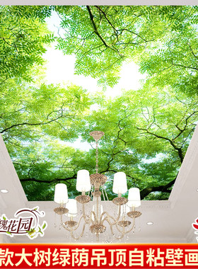 天花板吊顶壁纸自粘墙纸3d立体壁画创意墙贴画贴纸蓝天大树绿荫叶