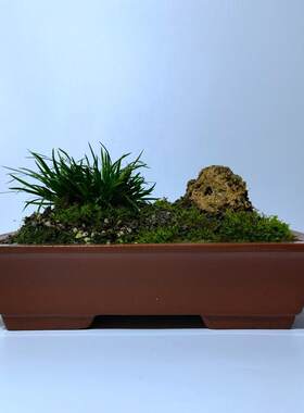 宜兴紫砂花盆八九十年代出口仓库老库存一套二件长方形绿植菖蒲盆