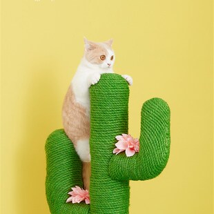 未卡仙人掌猫架猫爬架猫窝猫树一体小型不占地猫抓柱猫抓架猫抓板