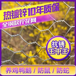 热镀锌铁丝围栏网养鸡养鸭防鼠防蛇养猪养牛小孔拧花网防护网防锈