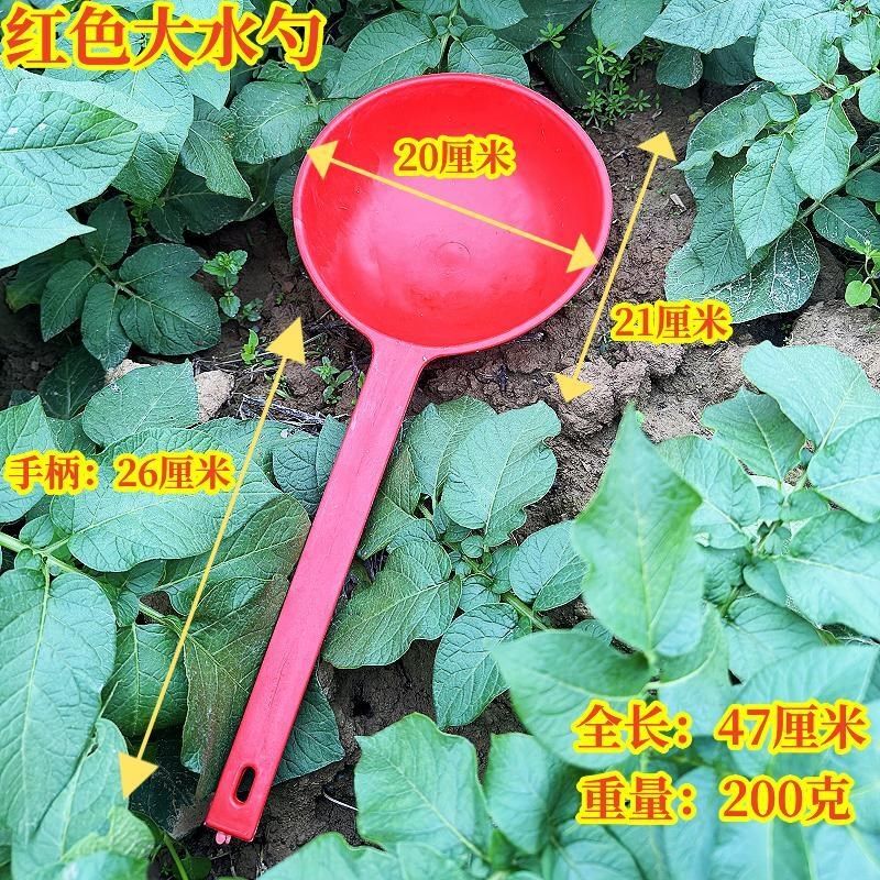 长柄水瓢淋花淋菜牛筋塑料耐酸碱厕所粪瓢浇水施肥摔不烂加厚水勺,厨房/烹饪用具,水舀/水瓢,淘宝优惠券,粉丝福利购,淘宝优惠卷