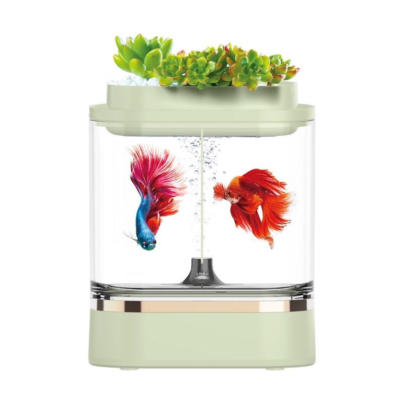 画法几何迷你斗鱼缸两栖生态鱼缸办公室迷你亚克力懒人创意金鱼缸,宠物/宠物食品及用品,桌面缸,淘宝优惠券,粉丝福利购,淘宝优惠卷