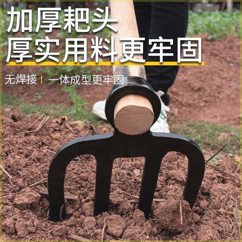 德国进口农用三齿叉锄翻地松土锄头多功能全钢种花菜两用耙子开荒,鲜花速递/花卉仿真/绿植园艺,耙子,淘宝优惠券,粉丝福利购,淘宝优惠卷