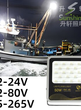 LED投光灯低压12V24V36V48V防水照鱿鱼直流船用抗干扰电瓶地摊灯