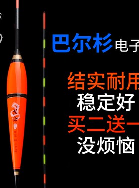 龙众夜光漂水无影夜钓电子漂大浮力大物浮漂鲫鱼漂鲤鱼浮标醒目
