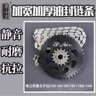 适用钱江风暴太子QJ150-3A/3B/3F/18F/18R/19A攀山虎链盘链条套链