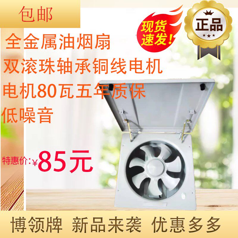 全金属10寸滚珠轴承电机油烟换气扇强吸力低噪音适合窗式墙式安装