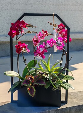 铁艺花盆花器蝴蝶兰盆金属北欧花架冬青盆器绿植仿真花新中式LED