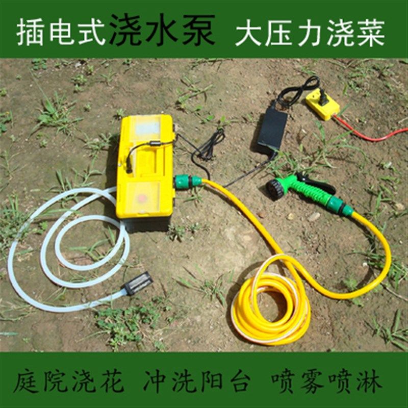 220V插电浇水抽水泵机浇花浇菜阳台屋顶楼顶菜园花园抽排积水渗水