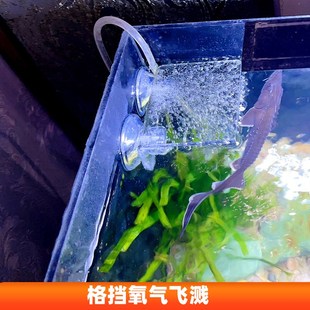 鱼缸水泵支架悬空亚克力台座水族吸盘摆件活石悬浮托盘过滤盒托架