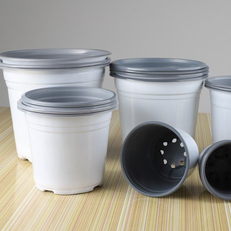 双色盆加厚蓝色白色扦插育苗花盆塑料营养钵小大厂家庭草莓多肉,鲜花速递/花卉仿真/绿植园艺,花盆,淘宝优惠券,粉丝福利购,淘宝优惠卷