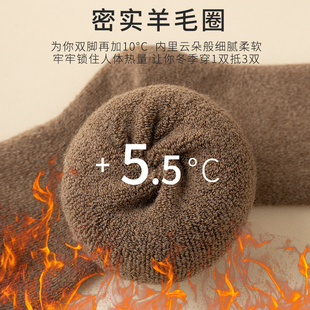 羊毛袜女式小腿袜冬季长筒袜加厚保暖毛圈高筒袜冬天复古长款中筒