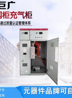 高压户内负荷开关真空FKRN12-12D/T125-31.5环网柜中置柜充气柜用