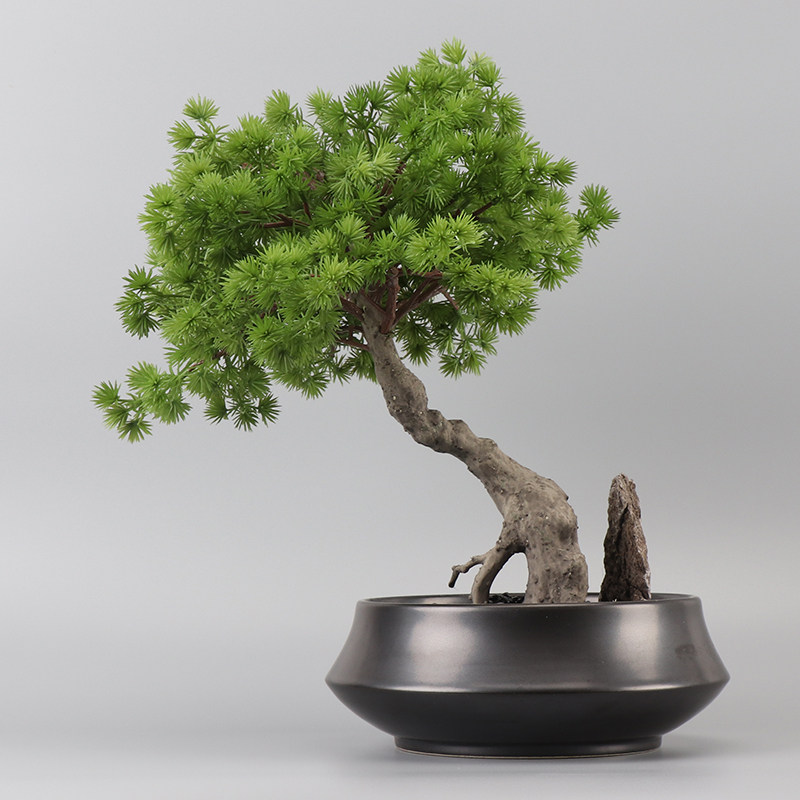 中式仿真罗汉松树绿植盆景餐桌办公桌书房书桌茶几茶室玄关摆件