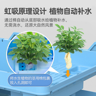 乌龟饲养缸乌龟缸龟缸专用缸饲养箱家用养龟龟箱网红小大鳄龟别墅