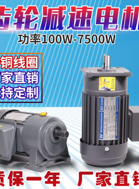 齿轮减速电机三相380V220V变频调速电机400W750W立卧式低速电机