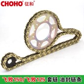 飞致150YS150 YBR150Z飞致125大小飞轮链轮套链油封链条 天剑150