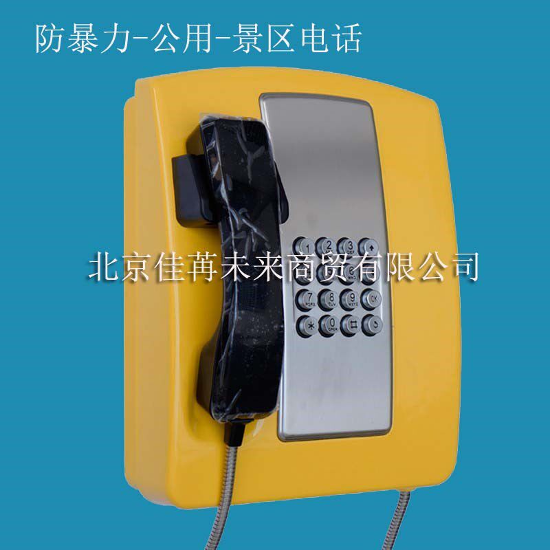 公用电话机壁挂式200电话机校高速公路应急公共电话防暴电话机,生活电器,电话机(有绳/无绳/网络),淘宝优惠券,粉丝福利购,淘宝优惠卷