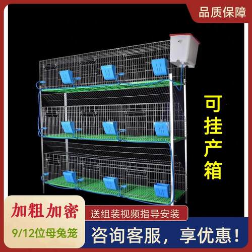新型兔子笼加粗加密9位母兔笼热镀锌12位特大号兔笼养殖专用兔笼
