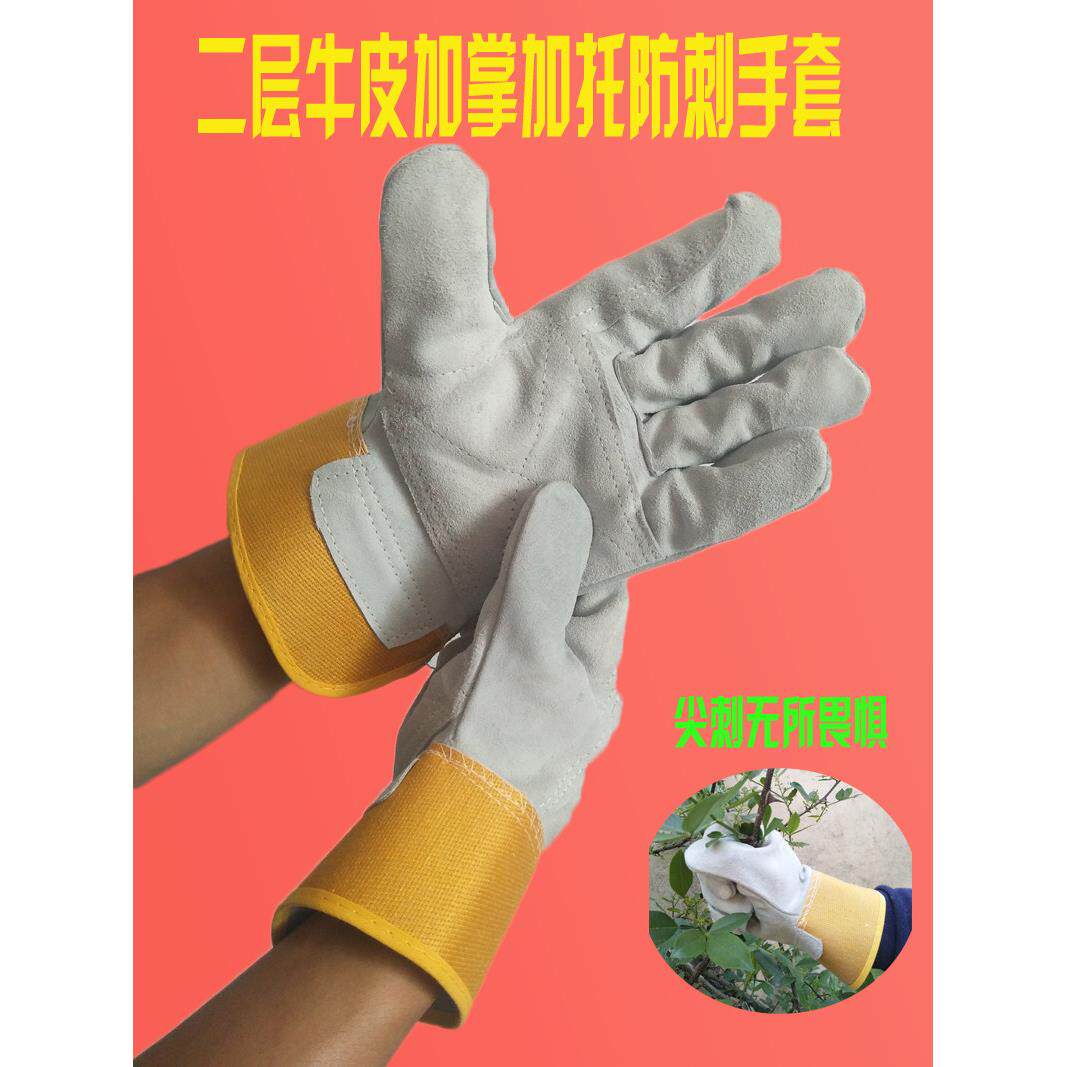 防刺手套防扎硬花椒月季园艺防护仙人球棘针玫瑰花针刺铁丝防扎