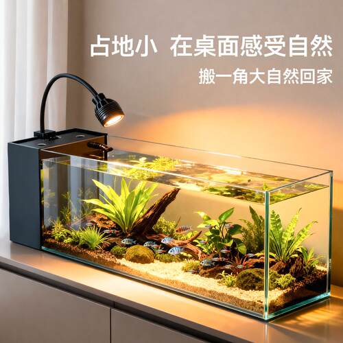 鱼缸过滤制氧All客厅侧滤桌面溪流缸小型2026新款生态金晶超白