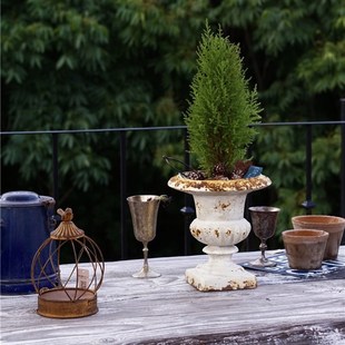 仿铸铁 锈色奖杯花盆  园艺杂货庭院花园阳台 装饰摆件工艺品有孔