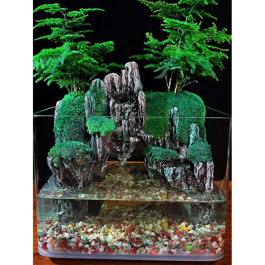 庐山瀑布流水鱼缸微景观大型生态乌龟雨林盆景植物室内水陆缸造景