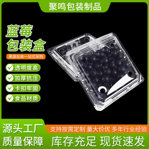 蓝莓包装盒果蔬保鲜带盖打包盒塑料盒pet一次性水果盒水果店超市