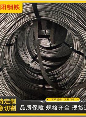 冷拔丝线材冷拔Q195铁丝各种钢丝做蔬菜大棚线材厂家直供