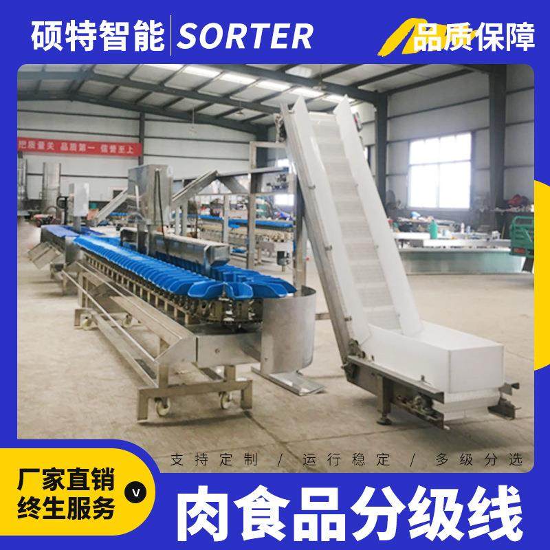 肉类重量分选线 羊蹄在线多级称重分拣机 基围虾克重选别机,清洗/食品/商业设备,肉制品加工设备,淘宝优惠券,粉丝福利购,淘宝优惠卷